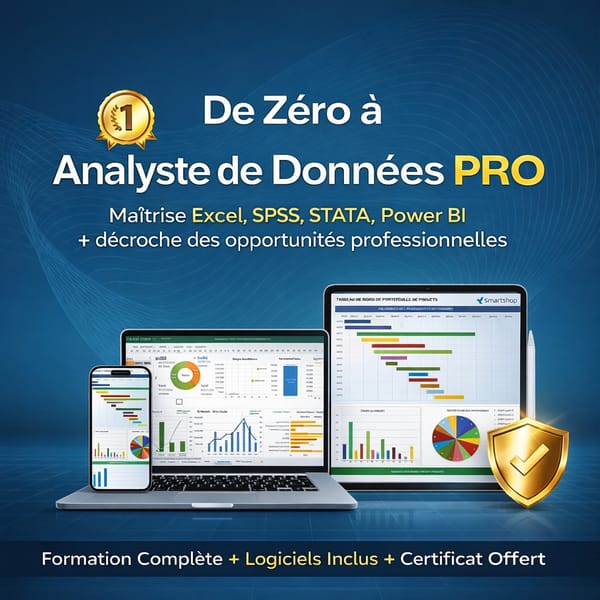 De Zéro à Analyste de Données PRO : Formation complète + logiciels + certificat – 100% pratique